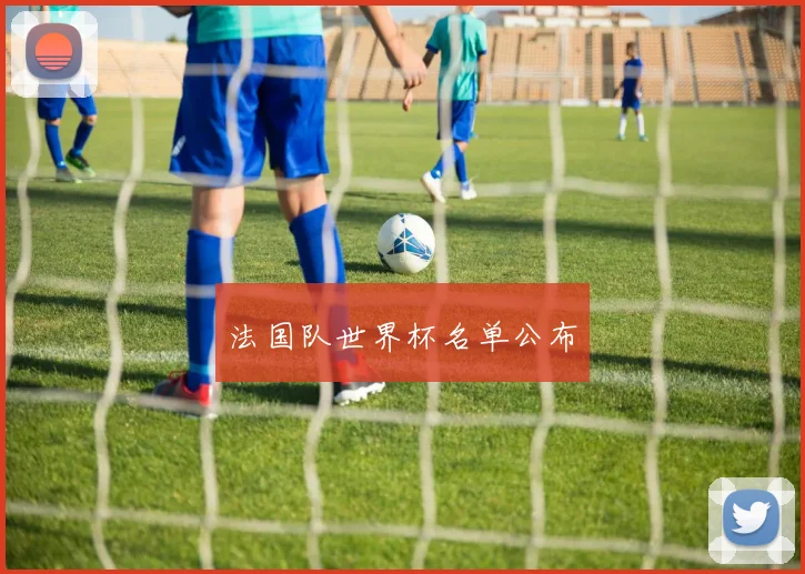 法国队世界杯名单公布