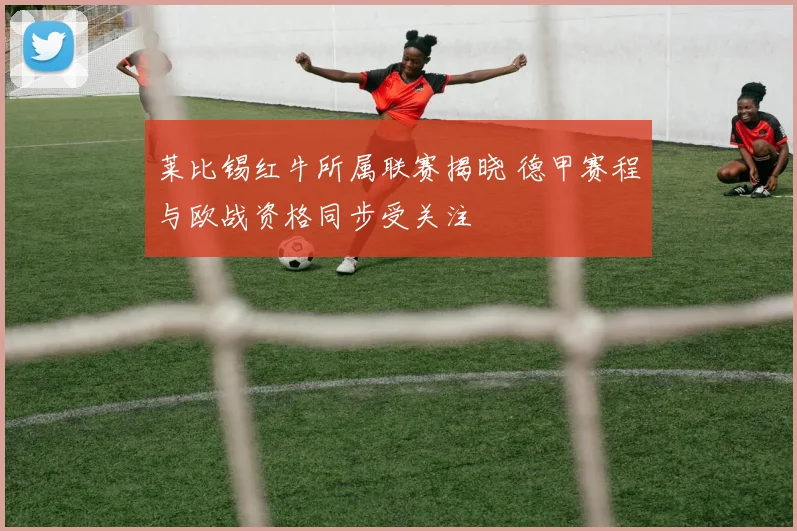 莱比锡红牛所属联赛揭晓 德甲赛程与欧战资格同步受关注