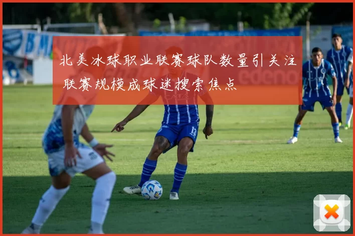 北美冰球职业联赛球队数量引关注 联赛规模成球迷搜索焦点