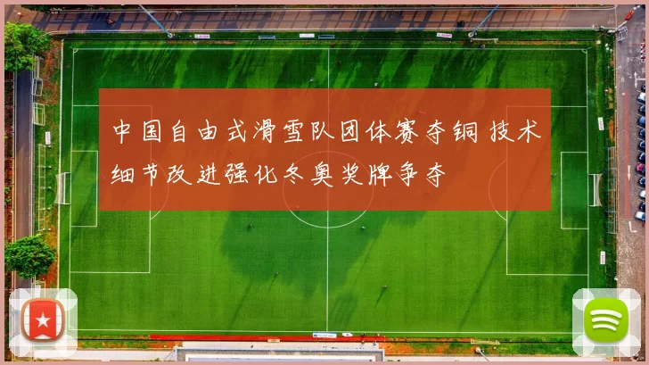 中国自由式滑雪队团体赛夺铜 技术细节改进强化冬奥奖牌争夺