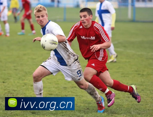 爱游戏官方端网站登录入口 - 爱游戏aiyouxi(中国)服务体系